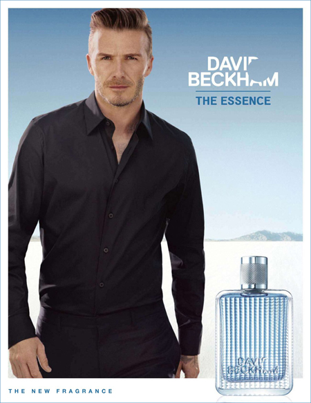 The Essence The Essence