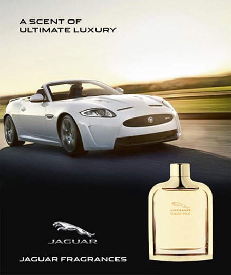 Jaguar Classic Gold tester