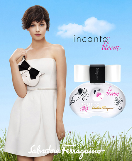 Incanto Bloom SET